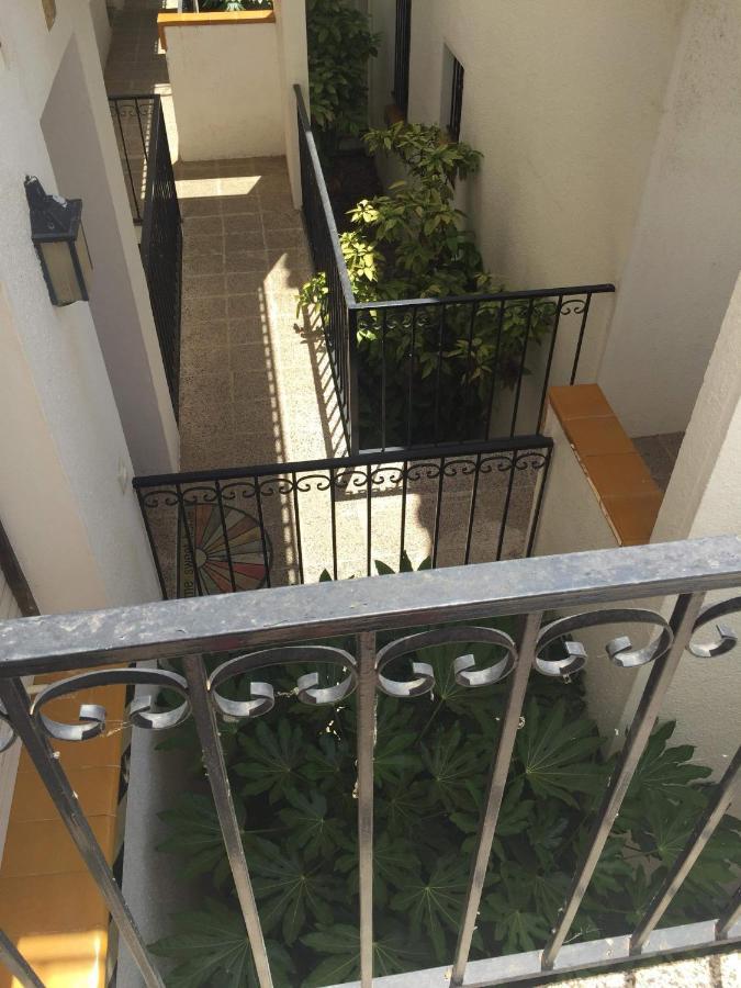Apartament « el Jardin « puig Rom