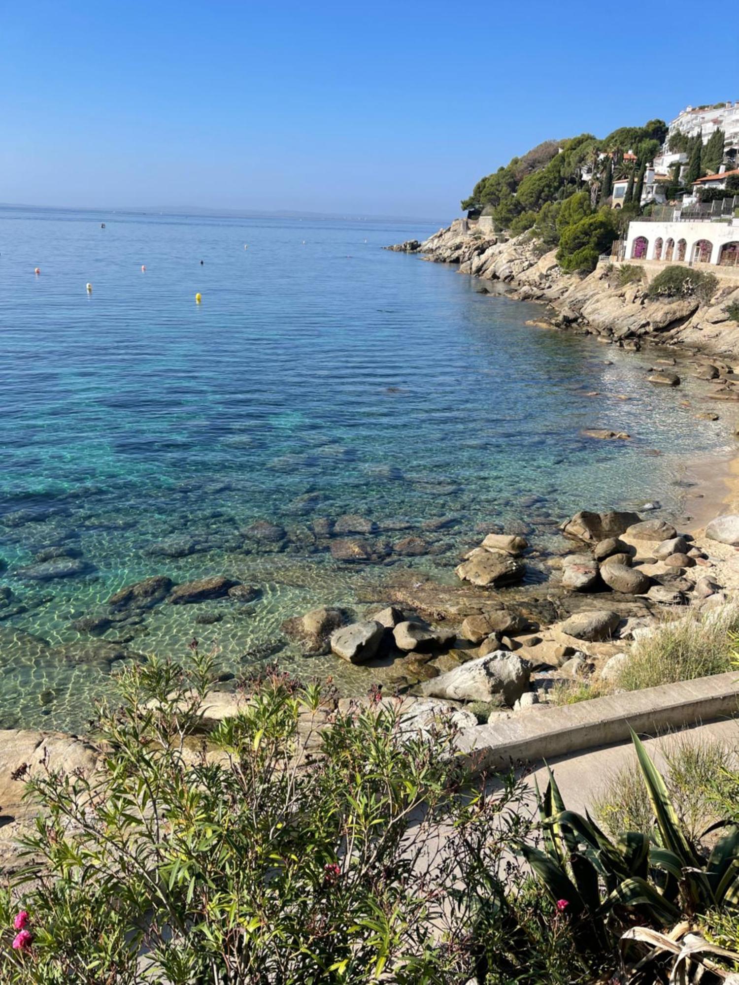 « el Jardin « puig Rom Apartament Roses